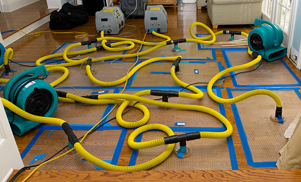 Professional Burst Pipe Water Damage technician working in Bethany, IL
